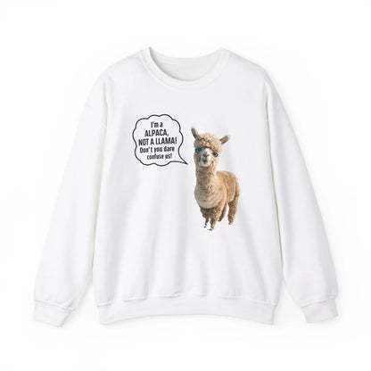 I am An Alpacas Not a LLama